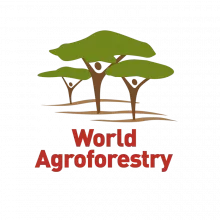 World agroforestry